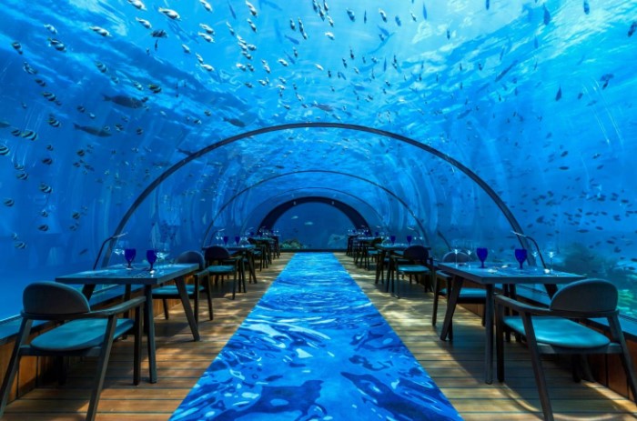 Quels sont les meilleurs restaurants en Nouvelle-Zélande ?