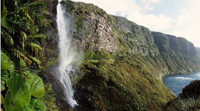 Se déplacer en Nouvelle-Zélande en tant que touriste